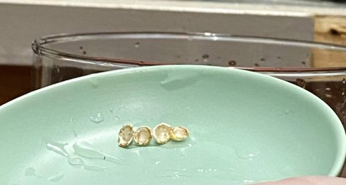 Susan LeGuyader's An Adventure in Water Casting - , General Education, Butane Torch, Soldering, Solder, water casting